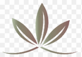 Oregano Png - Agave,Oregano Png