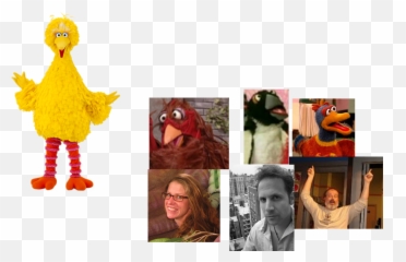Scenes Photos Sesame Street - Big Bird Tights png