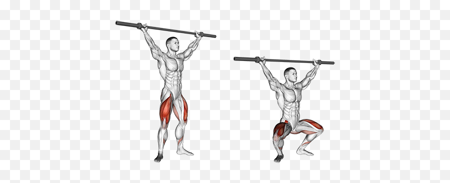 Barbell Overhead Squats - Zercher Squat Png,Squat Png