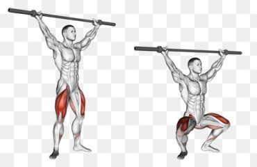 Barbell Overhead Squats - Zercher Squat Png,Squat Png
