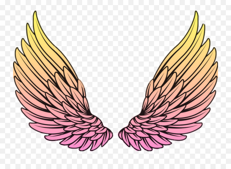 Angel Wings Vector Png Transparent