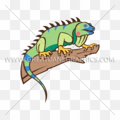 Colorful Iguana Production Ready Artwork For T - Shirt Printing Green png