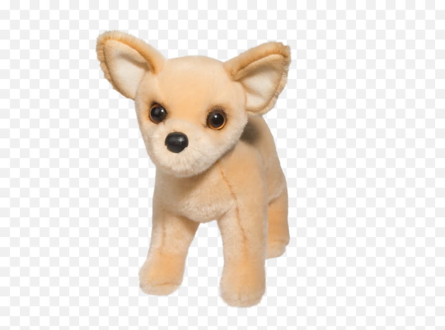 Douglas Carlos Chihuahua 10 - Chihuahua Plush Png,Chihuahua Png