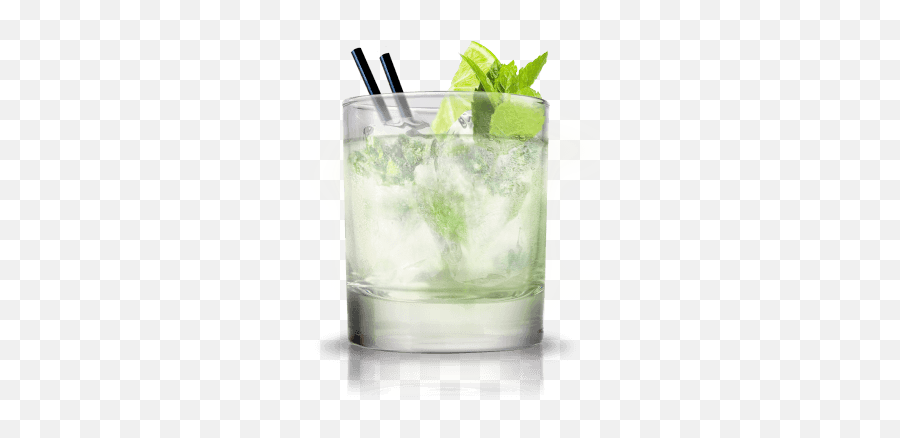 Turtle Time - Cocktail Flow Transparent Cocktail Png,Lime Transparent Background