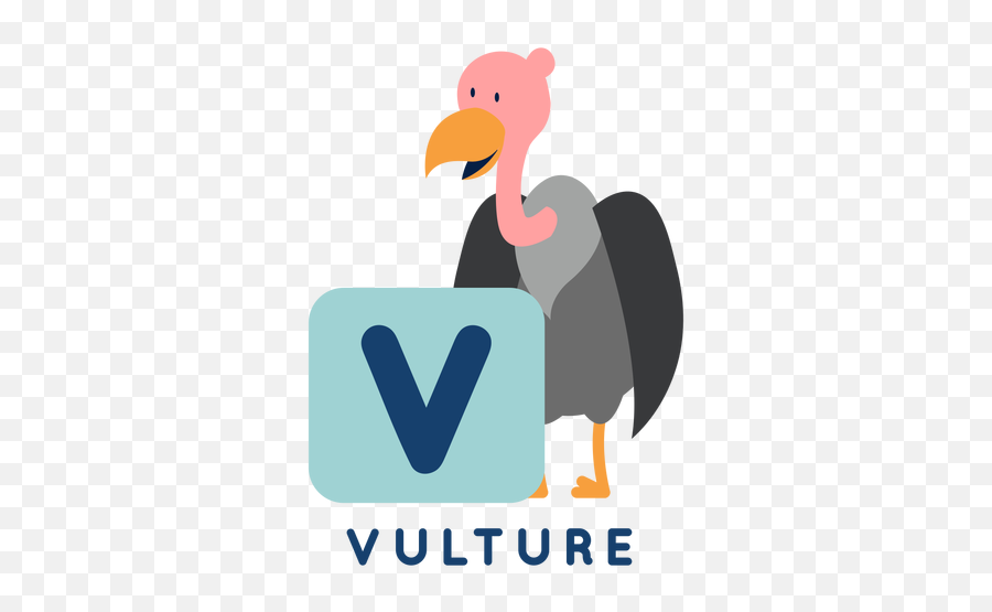Letter V Vulture Alphabet - Language Png,Vulture Transparent