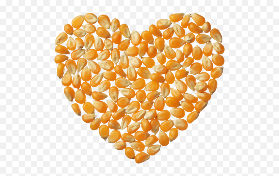 Popcorn Kernels - Corn Heart Png,Popcorn Kernel Png