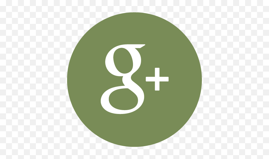 Download Hd Social - Icons Google Plus Logo Green Google Plus Icon Vector Png,Google Plus Logo Transparent