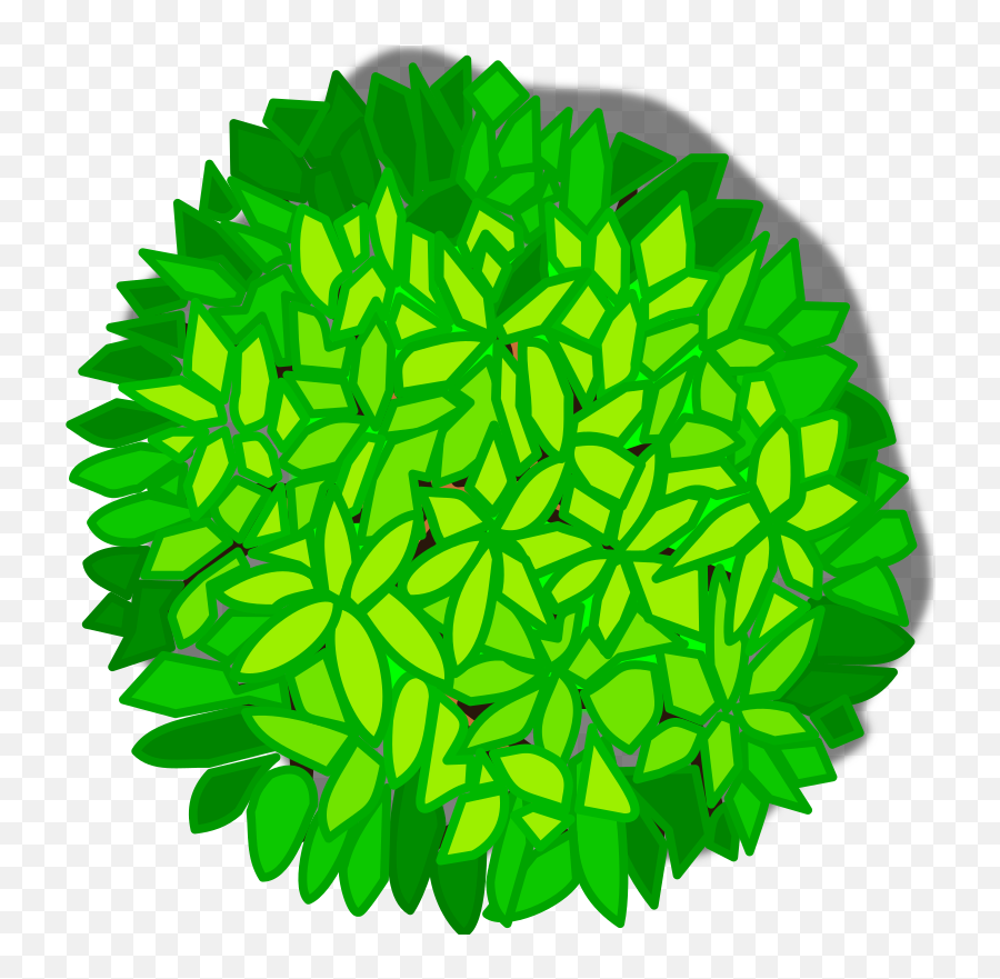 Leaf Symmetry Tree Png Clipart - Svg Tree Top View,Tree Png Top