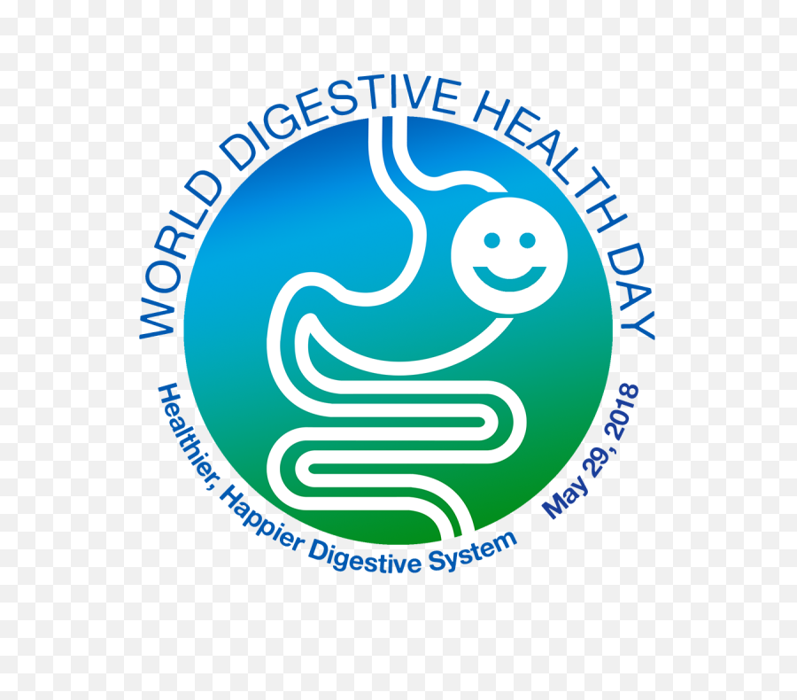 Healthier Happier Digestive System - Healthy Digestive System Png,Digestive System Png