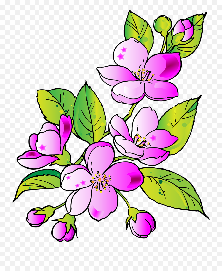 Download Hd Flowers Drawing Flower - Gift Transparent Png Drawing Of Flower For Gift,Transparent Flower Drawing