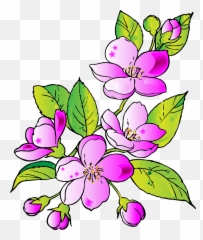 Download Hd Flowers Drawing - Gift Transparent PNG Of For