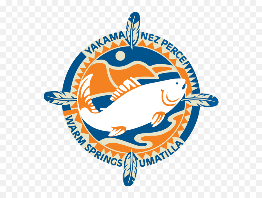 Critfc - Putting Fish Back In The Rivers And Protecting Columbia River Inter Tribal Fish Commission Png,Fish Logo Png