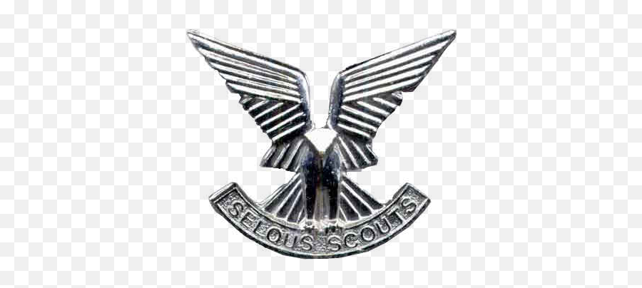 Osprey - Selous Scouts Badge Png,Forest Service Avian Icon