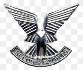 Osprey - Selous Scouts Badge png