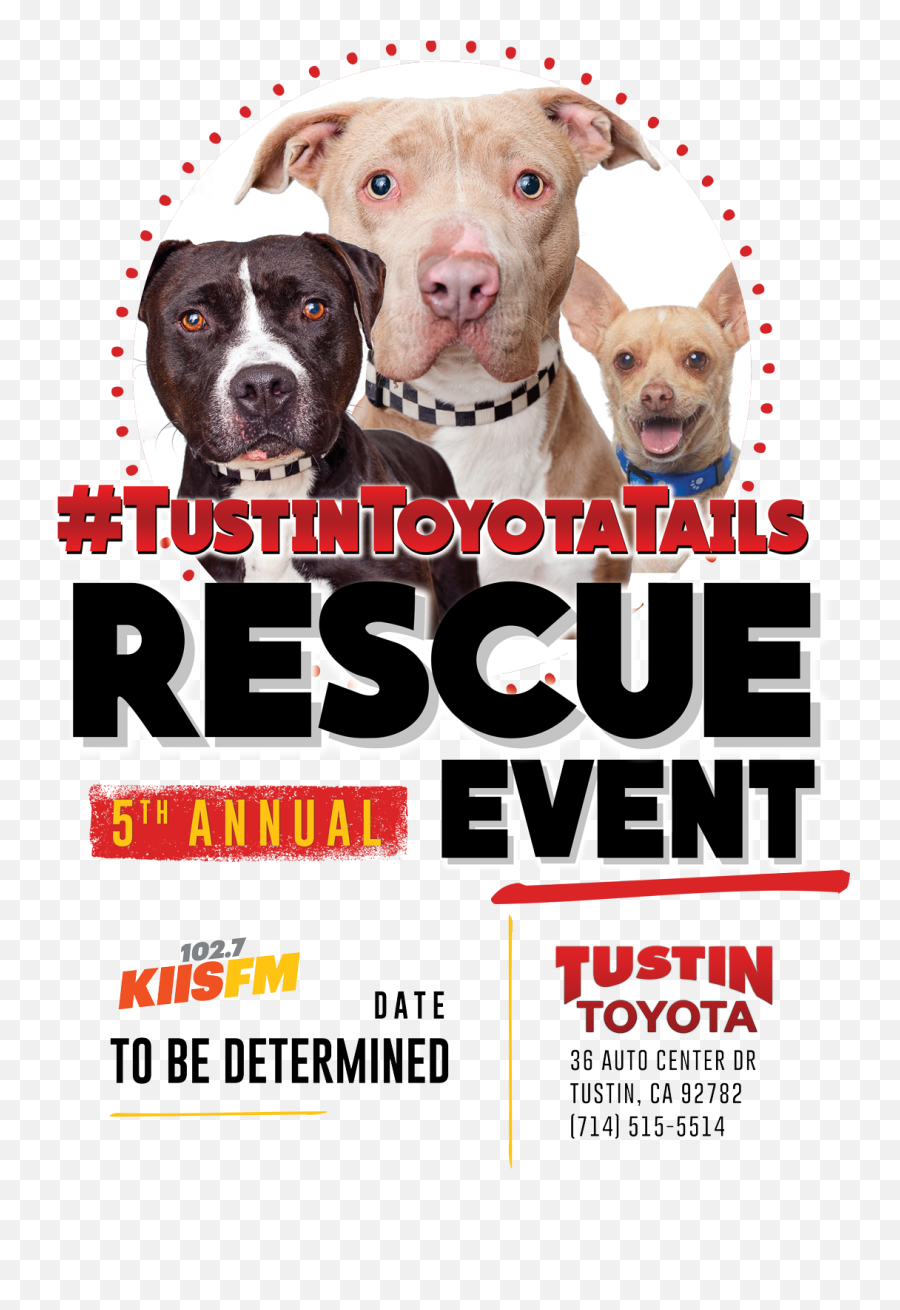 Tustin Toyota Tails Rescue Event - Martingale Png,Tails Life Icon
