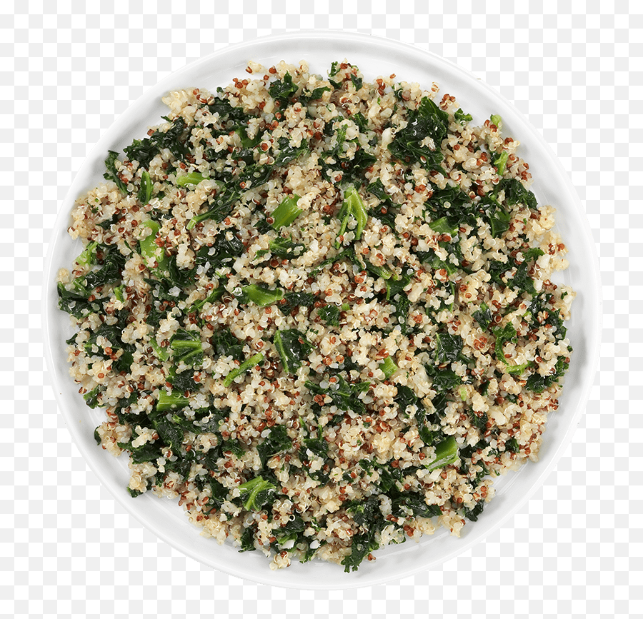 The Original Quinoa U0026 Kale Path Of Life - Path Of Life Quinoa And Kale Png,Quinoa Icon