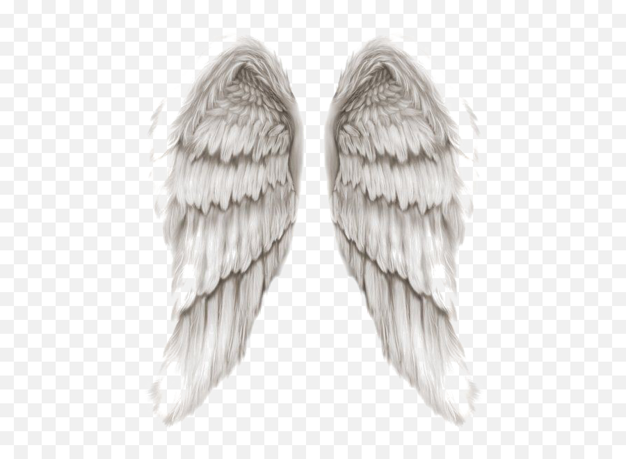 Angel Wings Png Transparent Image Arts - Angels Of God Wings,Angel Wings Png