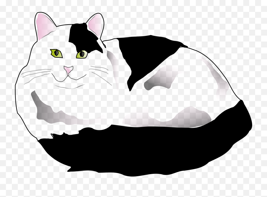 Download Free Png Cartoon Black Cat Vector And White - White And Black Cat Clipart,Black Cat Png
