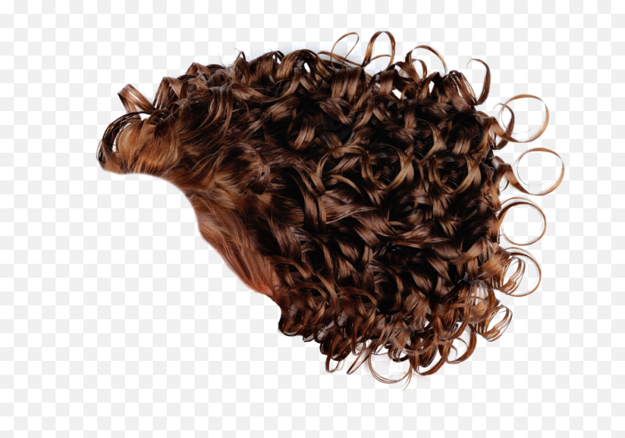 Curly Hair Png 2 Image - Curly Hair Png Men,Curly Hair Png