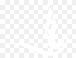 Download Banner Transparent Murhozeta Sorority - Transparent Zeta Phi Beta Dove Png,Dove Transparent