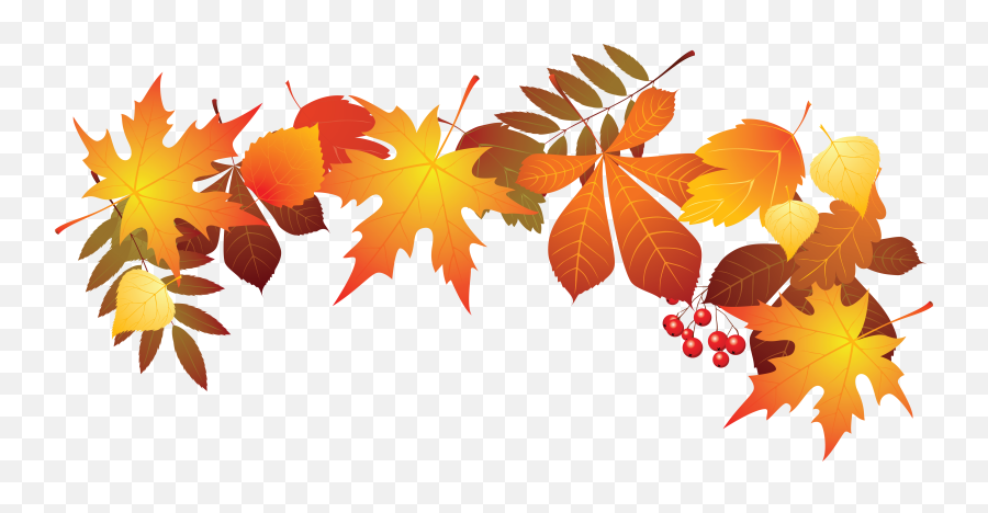 Download World Teachers Day Leaf Autumn - Transparent Transparent Background Autumn Leaf Png,Fall Leaf Transparent