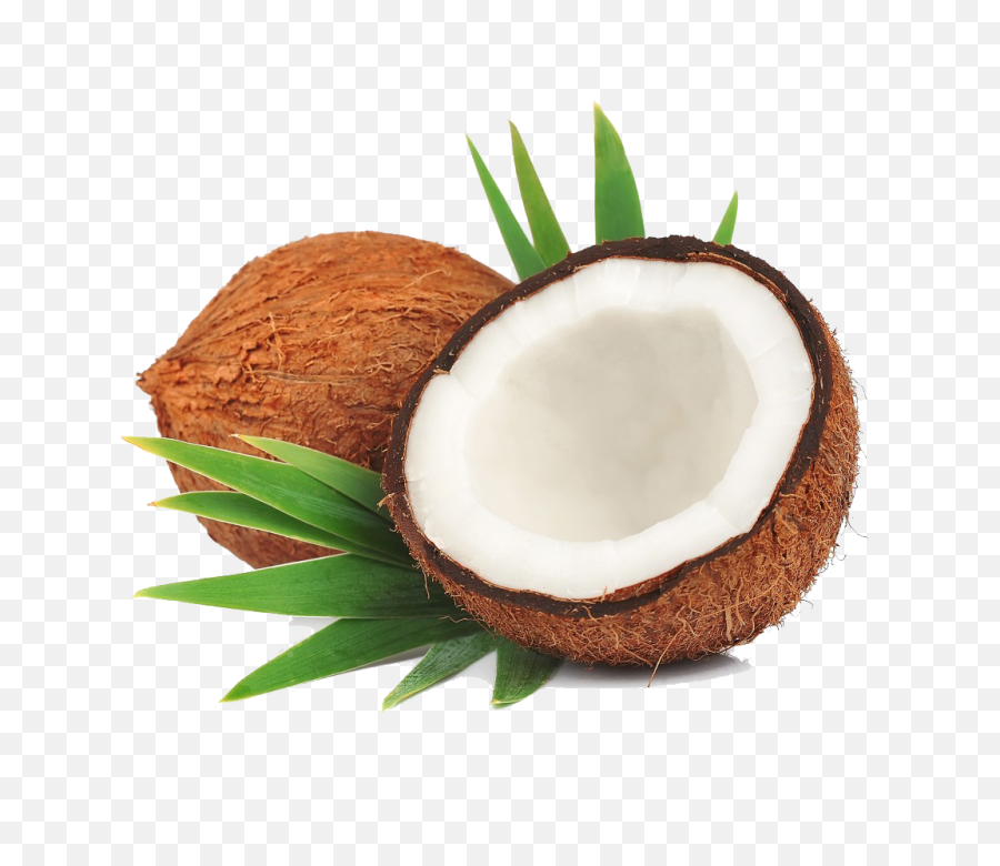 Coconut Png Transparent 2 Image - Transparent Background Coconut Png,Coconut Png