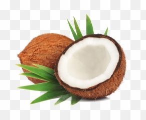 Coconut Png Transparent 2 Image - Transparent Background Coconut Png,Coconut Png