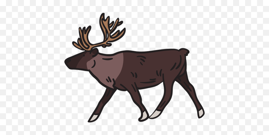 Moose Animal Antlers Illustration - Transparent Png U0026 Svg Elk,Antlers Png