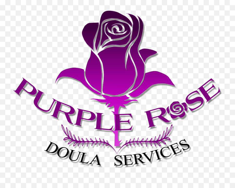 Purple Rose Doula Services - Calgary Postpartum And Birth Doula Drop Of Water Png,Purple Rose Png