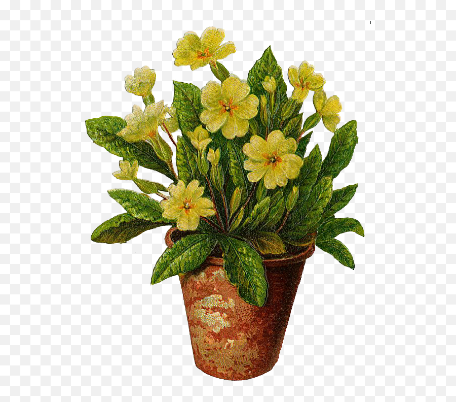 Free Plant Pot Png Download Clip Art - Flowers In Pots Png,Hanging Plants Png
