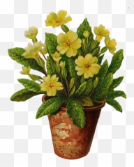 Free Plant Pot Png Download Clip Art - Flowers In Pots Png,Hanging Plants Png