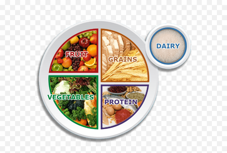 Food Plate Image Quiz Microbe Magic - Cawl Png,Food Plate Png