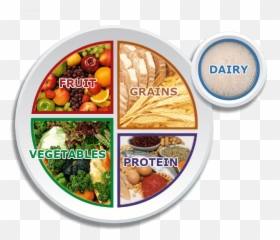 Food Plate Image Quiz Microbe Magic - Cawl Png,Food Plate Png
