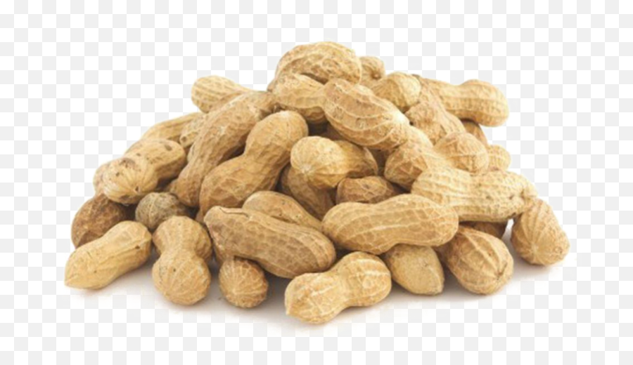 Transparent Background Peanut Png - Transparent Background Peanut Png,Peanut Png