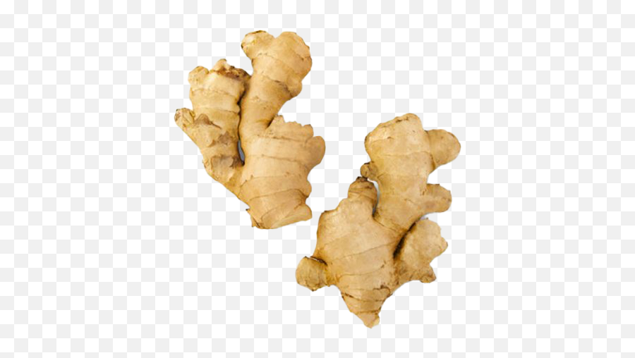 Ginger Png Clipart Background - Ginger Root,Ginger Png