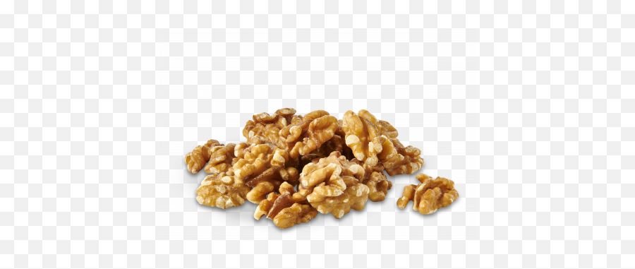 Walnuts - Walnut Png,Walnuts Png