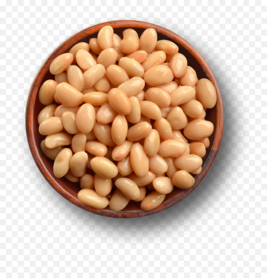 Baked Beans Vegetarian Cuisine Common - Do Great Northern Beans Look Like Png,Beans Transparent