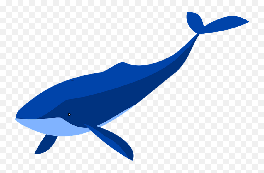 Blue Whale Clipart - Blue Whale Clipart Png,Blue Whale Png