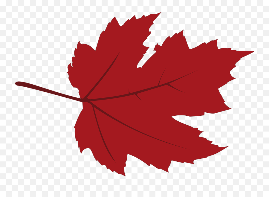 Canadian Maple - Fall At The Beach Png,Maple Png