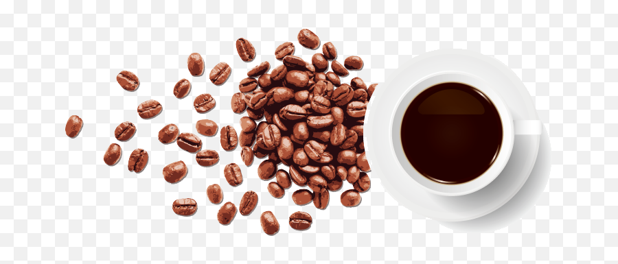 Download Free Png Coffee Bean Espresso - Freshly Ground Coffee Beans Transparent Background,Beans Png