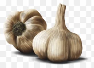 Garlic Free Png Image Download 40 - Cancer Ka Ilaj In Urdu,Garlic Png