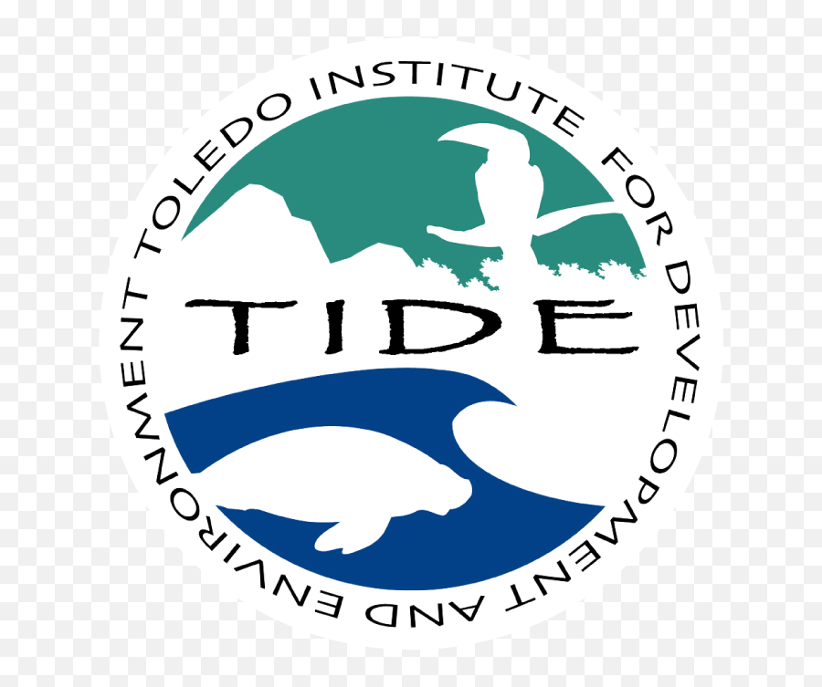 Tide - Toledo Institute For Development And Environment Png,Tide Logo Png