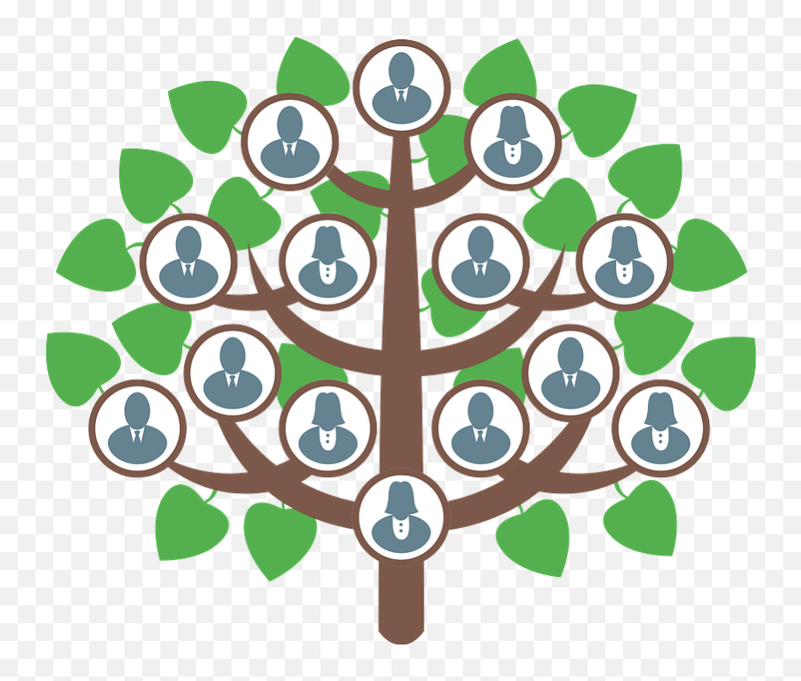 Family Tree Clipart Free Download Transparent Png Creazilla - Family Tree Clipart,Family Tree Png
