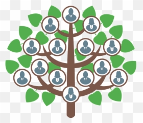 Family Tree Clipart Free Download Transparent Png Creazilla - Tree Clipart