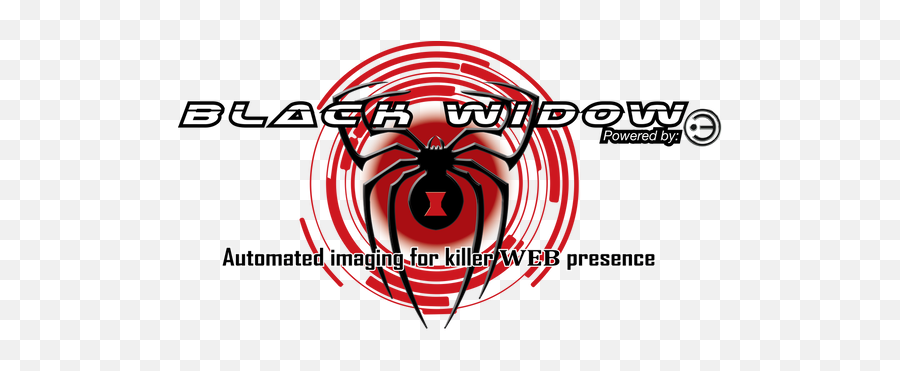 Black Widow - Emblem Png,Black Widow Symbol Png