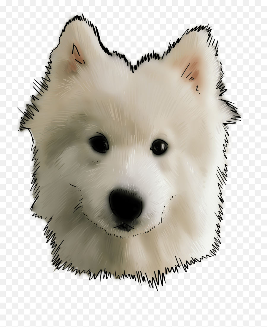 Doge Face Png - Samoyed Gif No Background,Doge Face Png