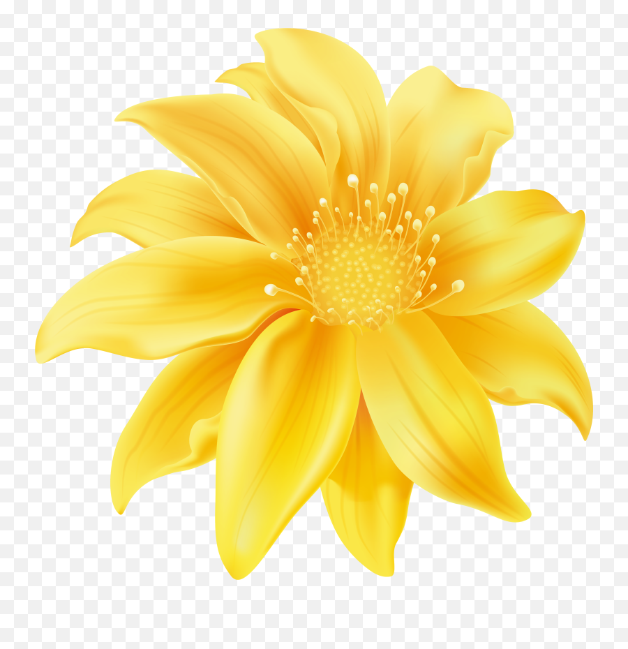 Download Yellow Flower Png Clip Art Transparent Background