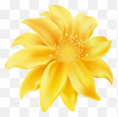 Download Yellow Flower Png Clip Art Transparent Background