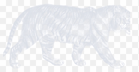 Home 1st Icon Beer - Animal Figure png