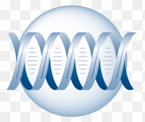 Diagnostics Avellino - Language png